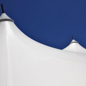 Detail of the canoides